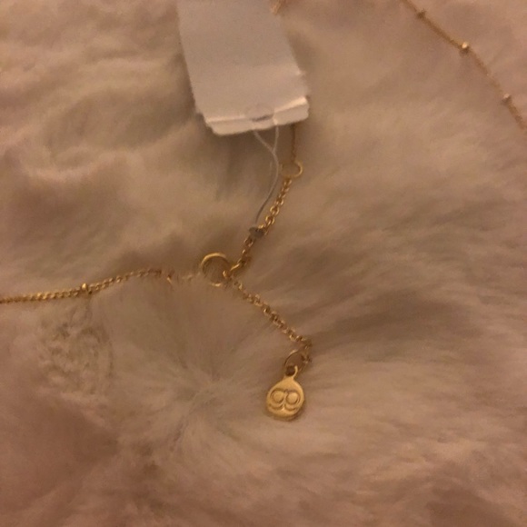 Gorjana Corina Lariat Necklace - Picture 8 of 8